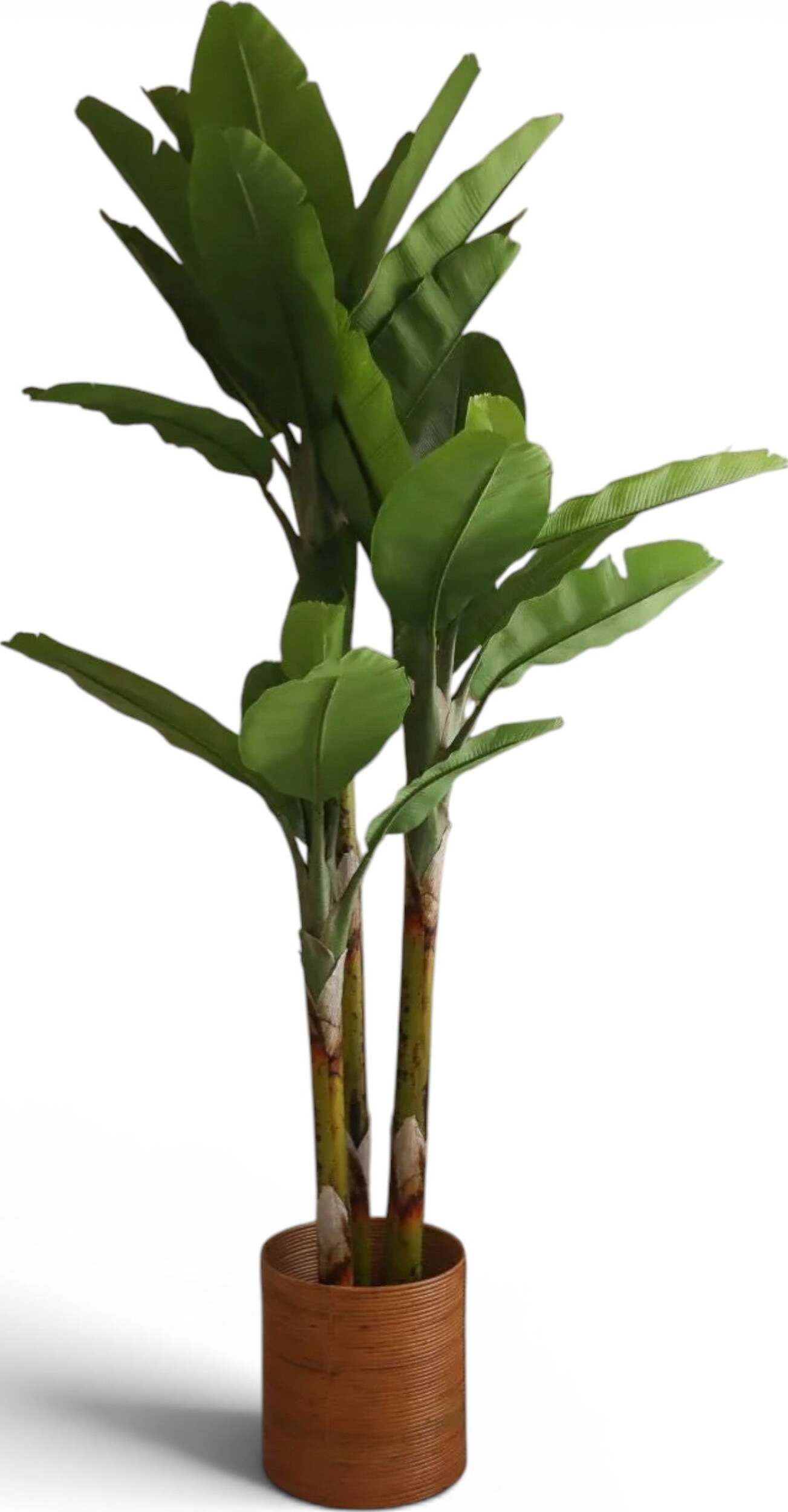 Drzewko sztuczne Botane bananowiec 270 cm