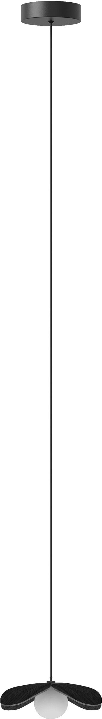 Lampa wisząca Forget Me Not 19 cm czarny dąb z czarną rozetą
