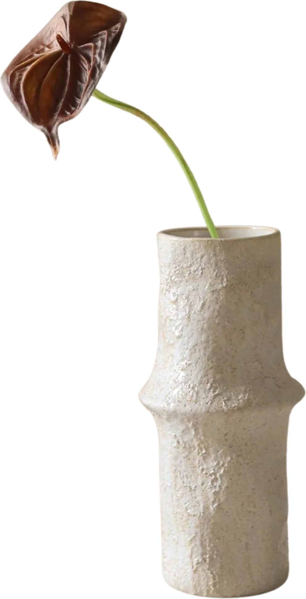Kwiat sztuczny Botane anturium 65 cm brązowe