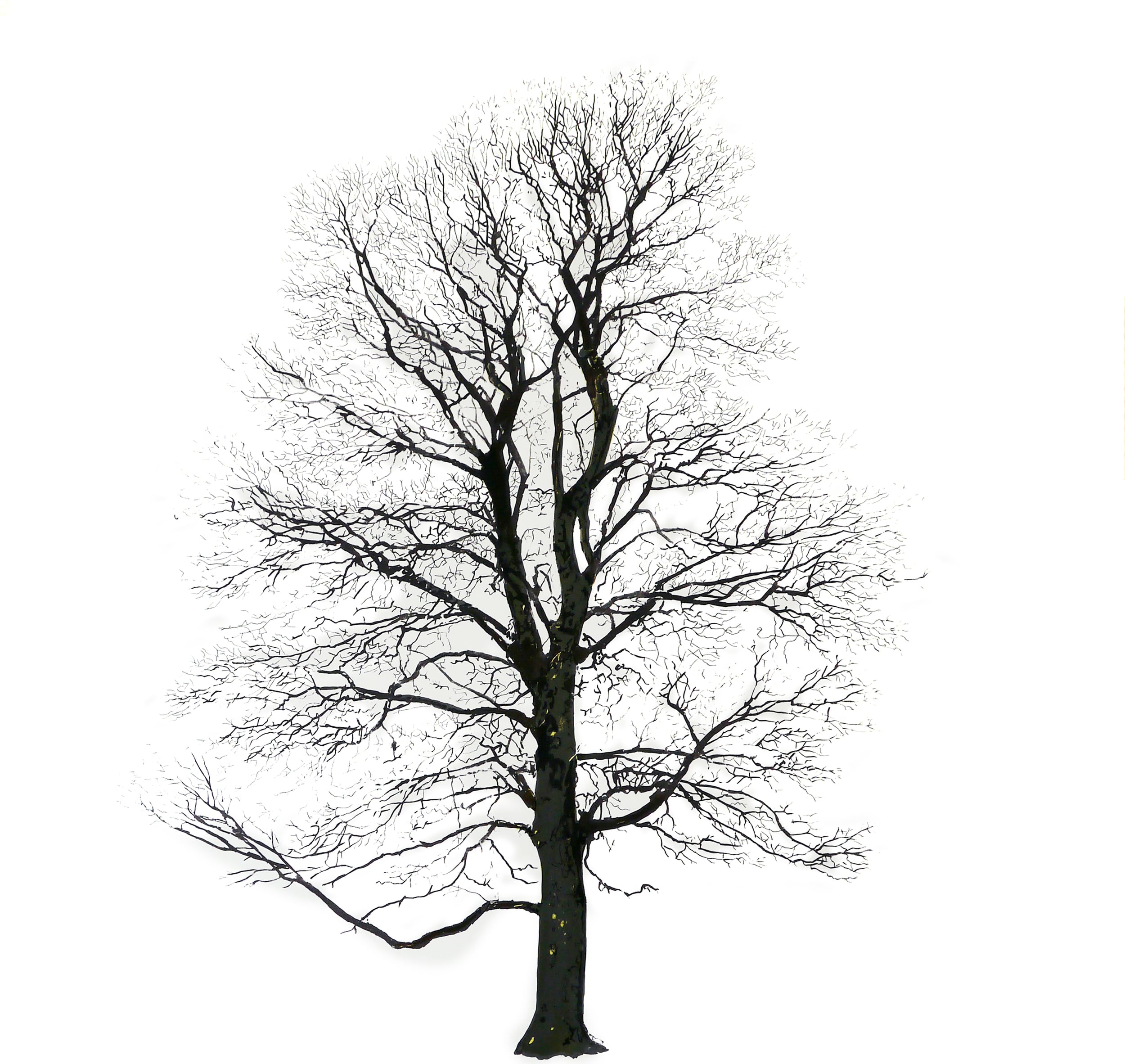 Plakat Tree Winter