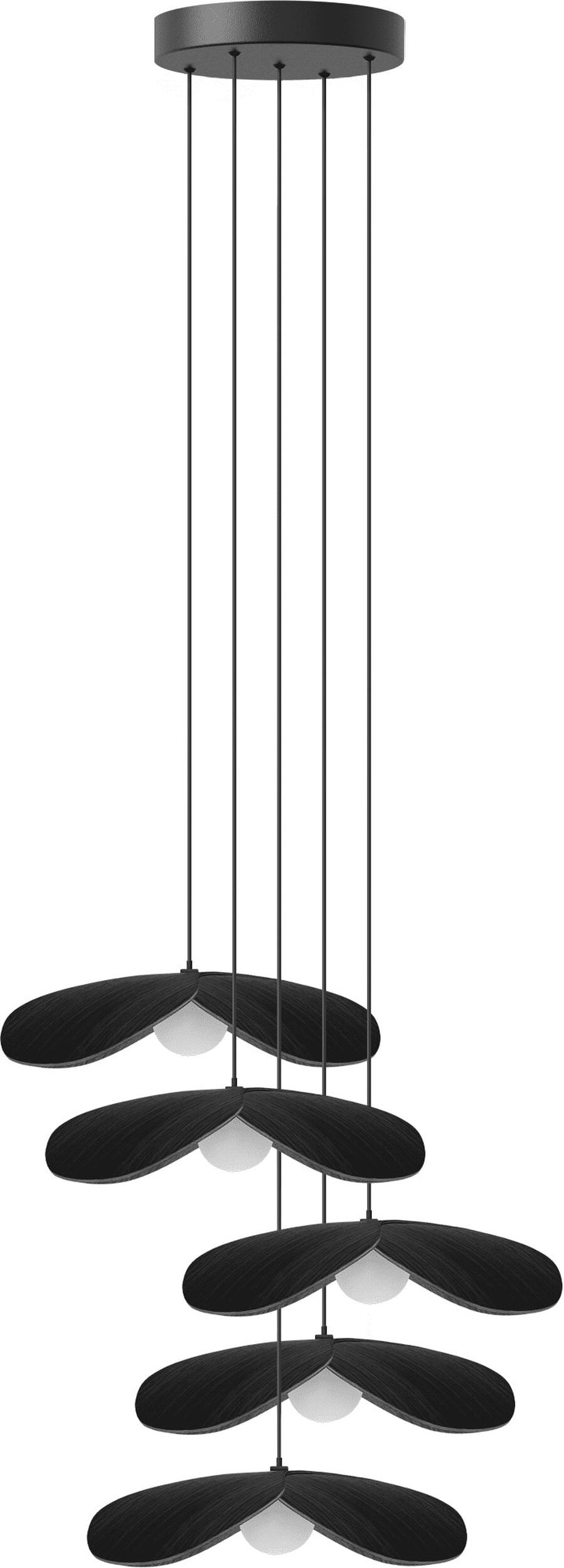 Lampa wisząca Forget Me Not 28 cm czarny dąb pięcioramienna z czarną rozetą