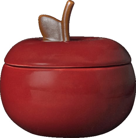 Pojemnik do przechowywania Apple