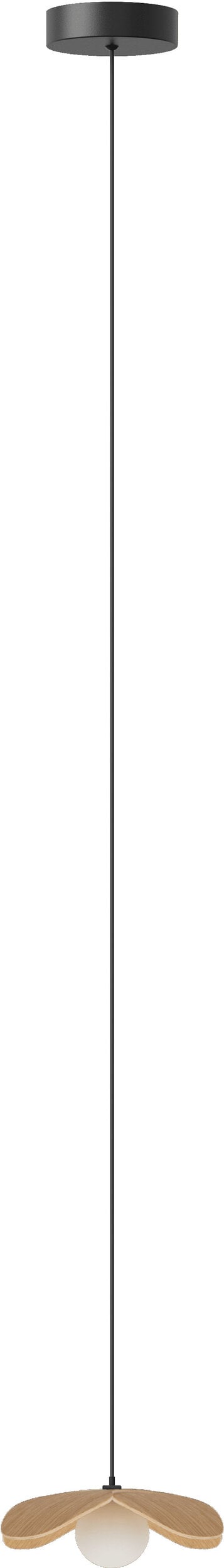 Lampa wisząca Forget Me Not 19 cm jasny dąb z czarną rozetą