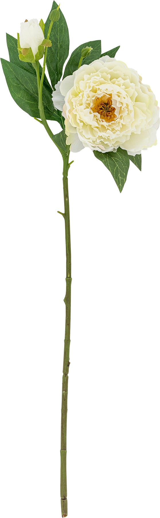 Kwiat sztuczny Bloomingville piwonia 62 cm biała