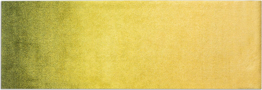 Wycieraczka Dis Moss 85 x 250 cm