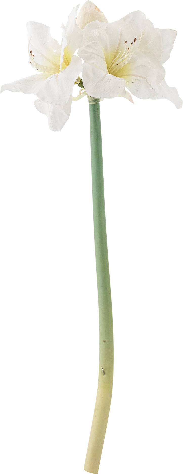 Gałązka sztuczna Amaryllis 74 cm biała