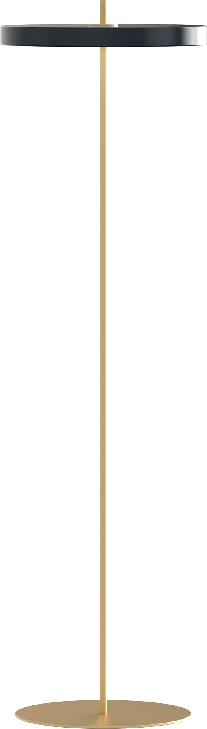 Lampa podłogowa Asteria antracytowa