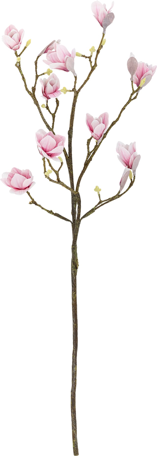 Gałązka sztuczna Bloomingville magnolia