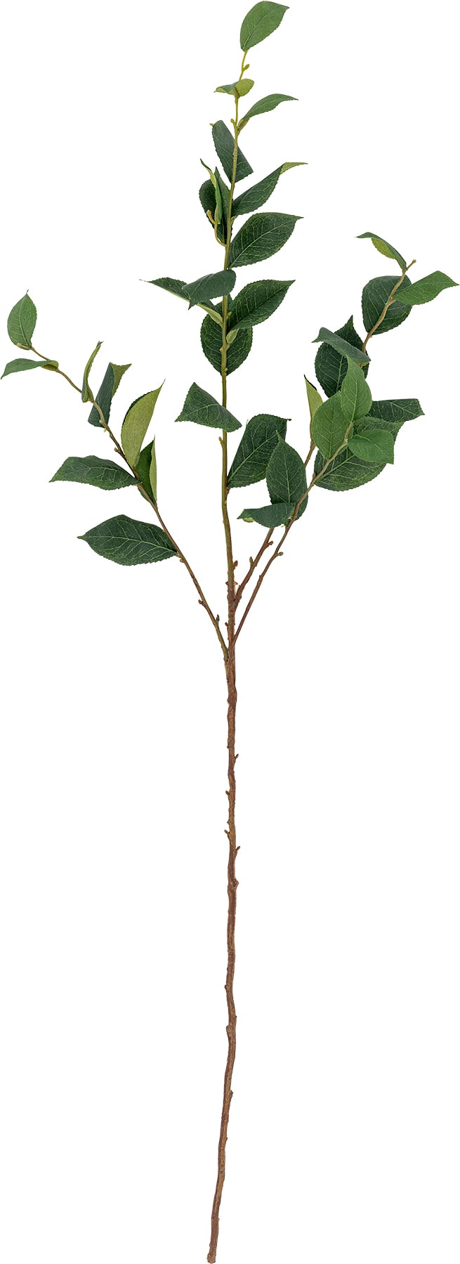 Kwiat sztuczny Bloomingville eukaliptus 110 cm