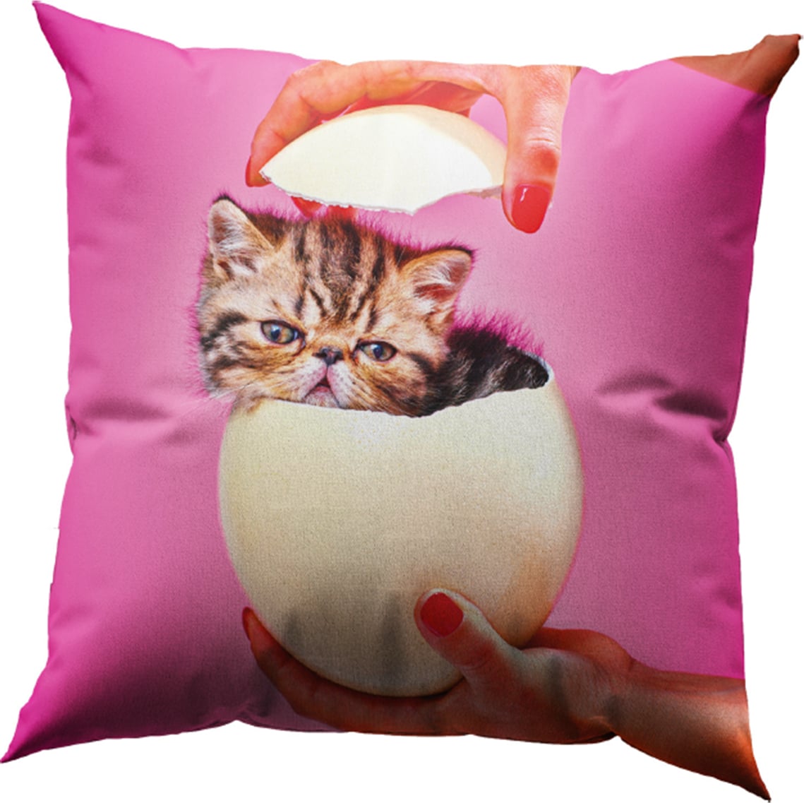Poduszka dekoracyjna Toiletpaper Cat Surprise 50 x 50 cm