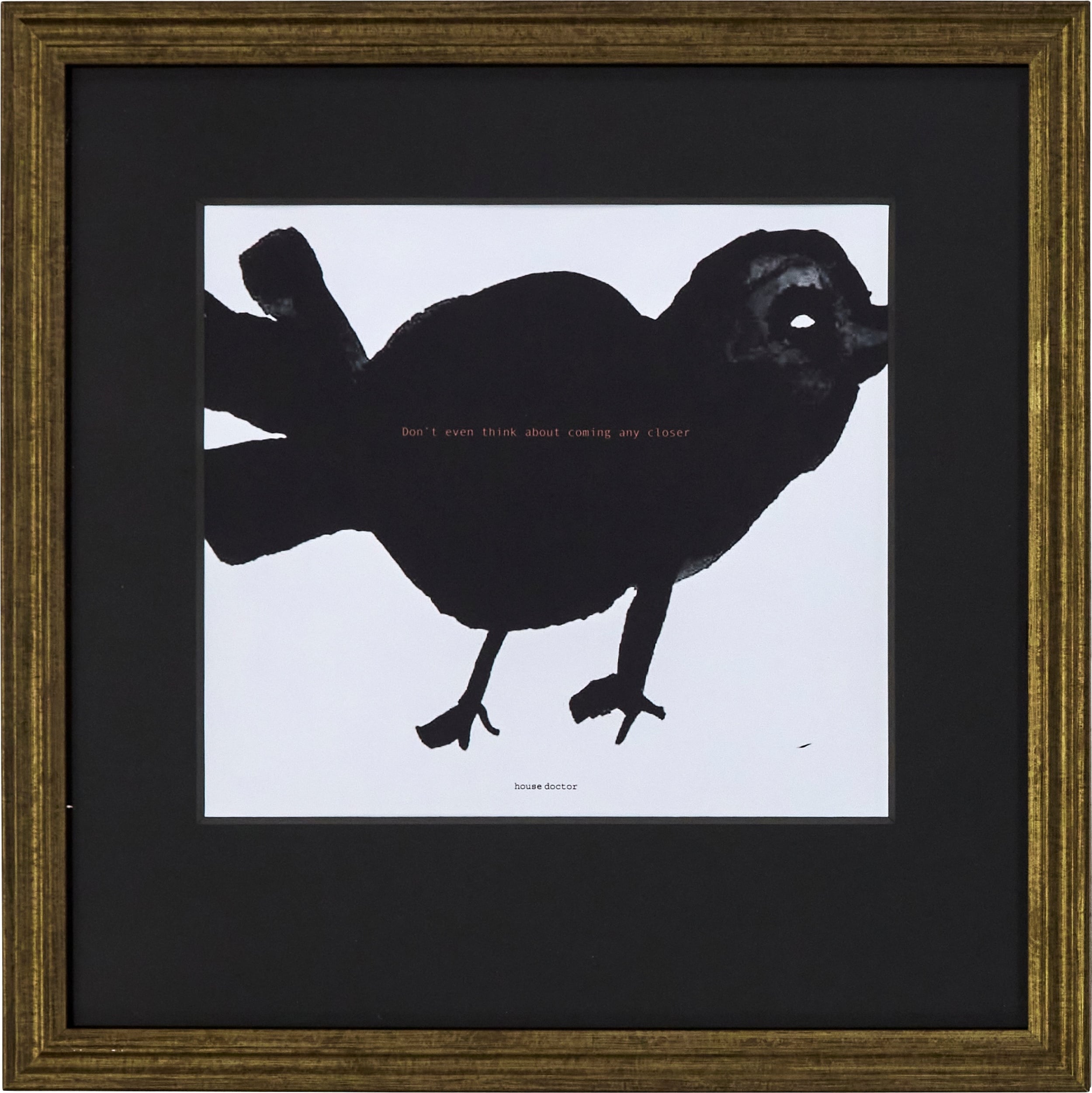 Obraz w ramie Bird 40 x 40 cm