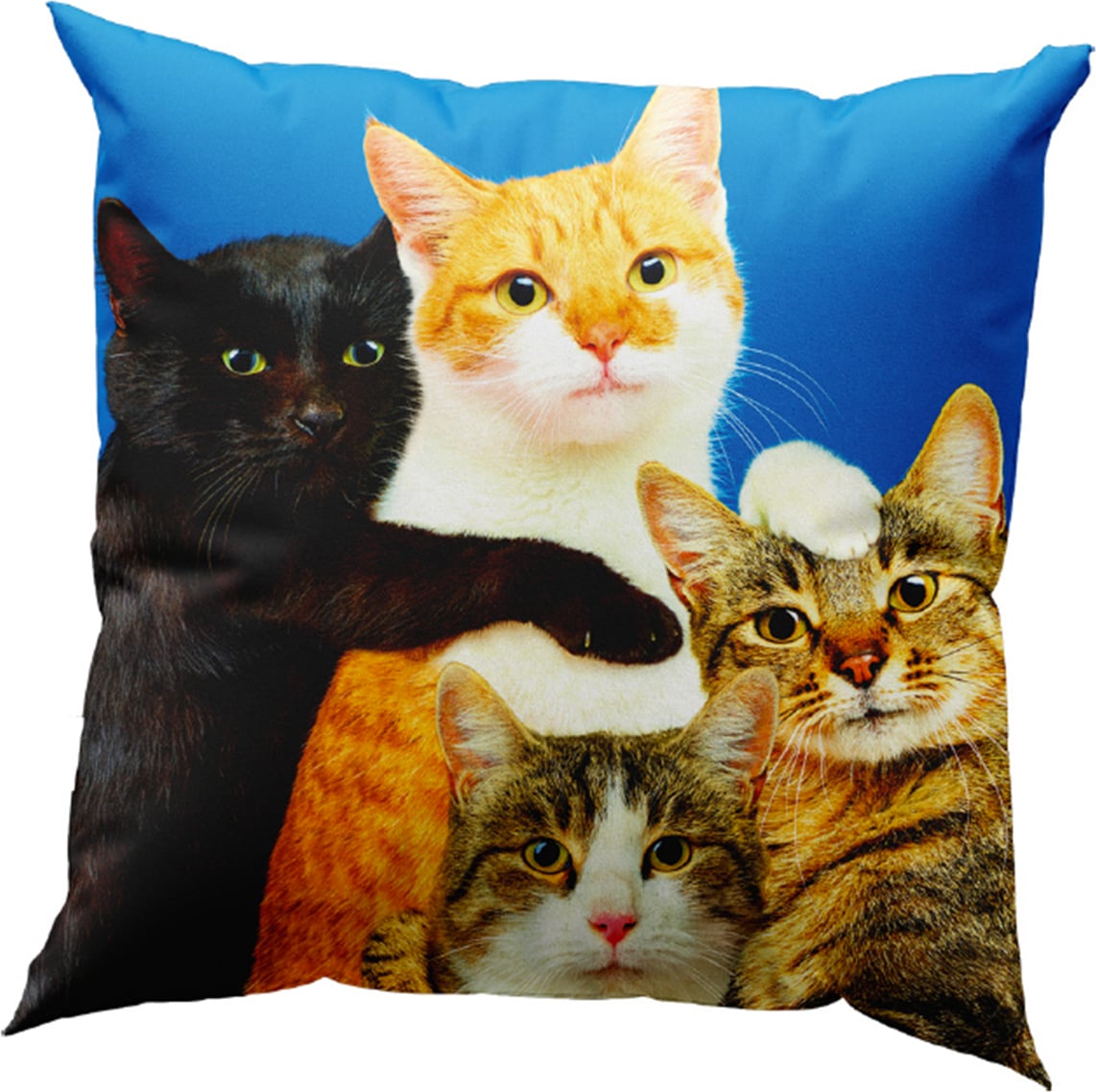 Poszewka na poduszkę Toiletpaper Polycats 50 x 50 cm