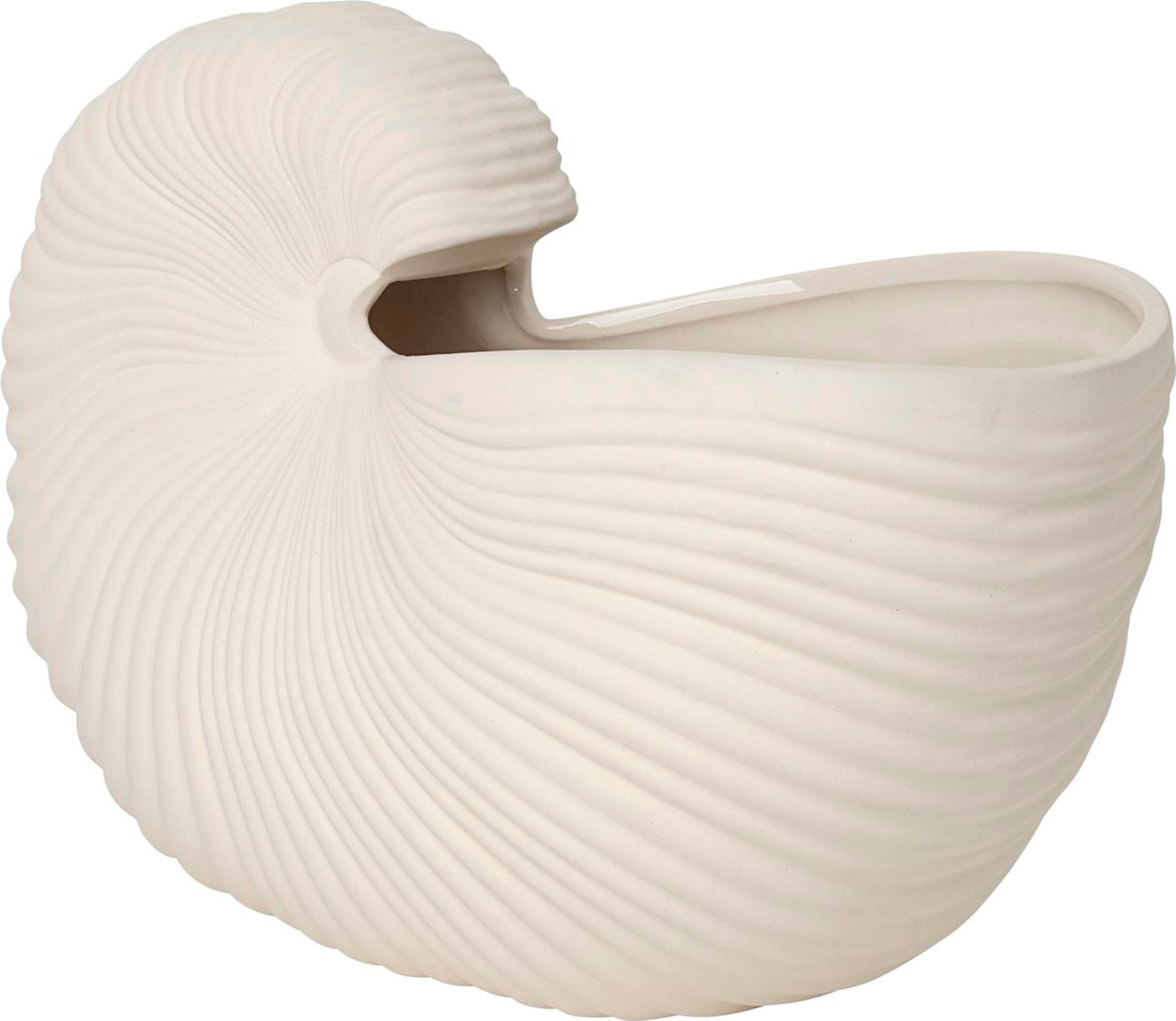 Wazon Shell