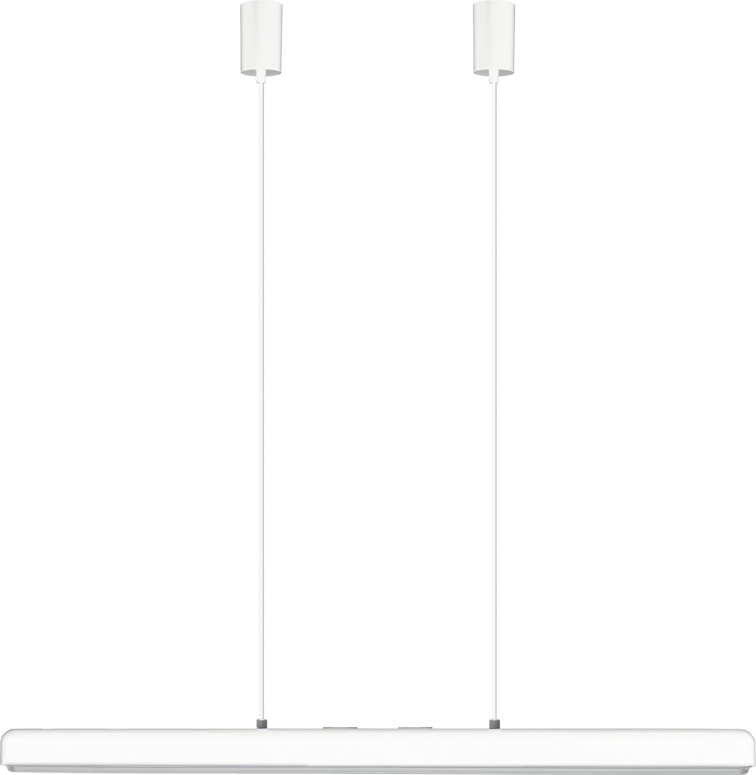Lampa wisząca Hazel Branch biała ze srebrnym mocowaniem