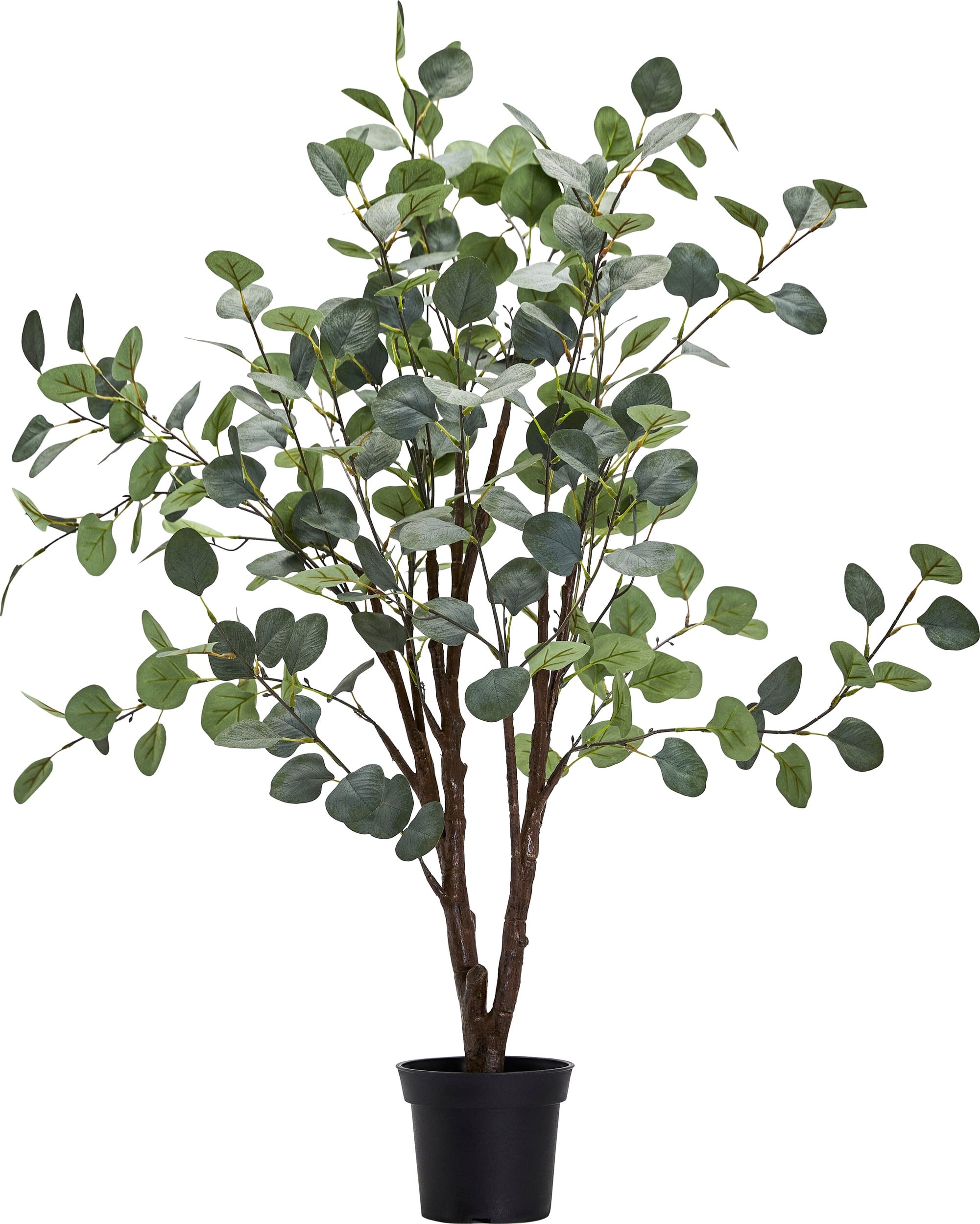 Roślina sztuczna Eucalyptus 100 cm