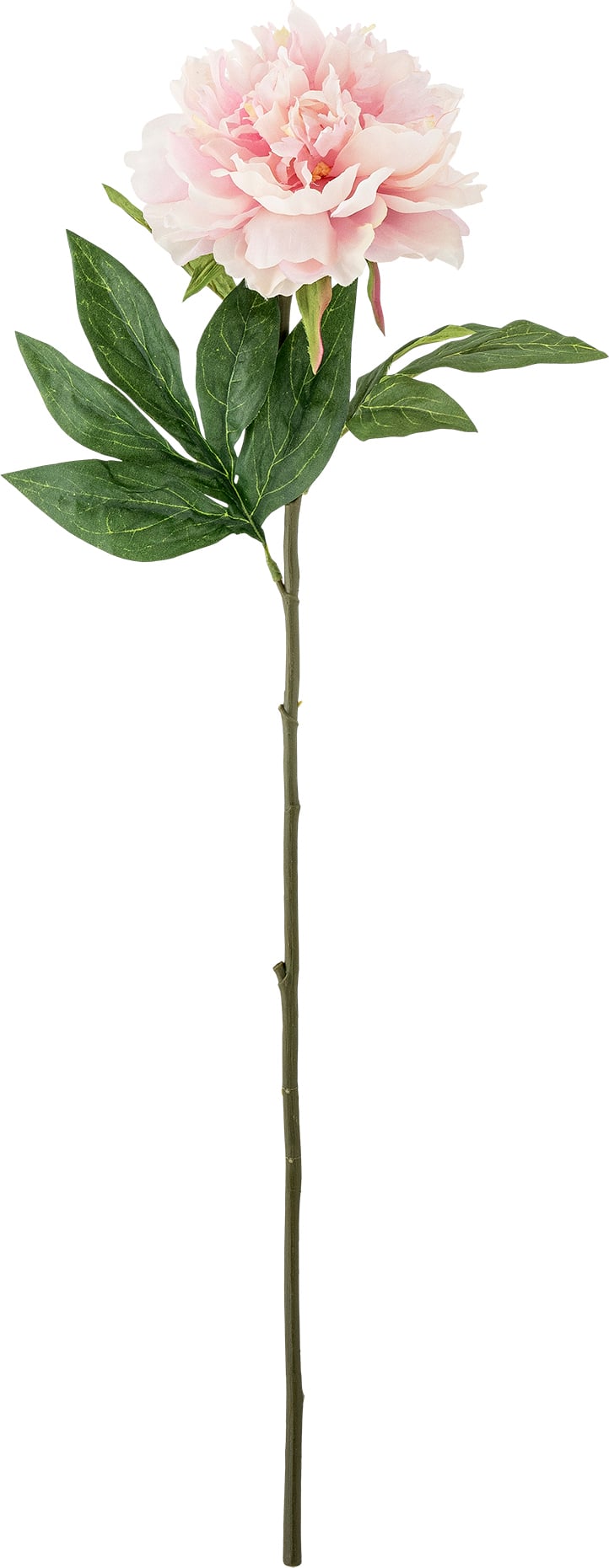 Kwiat sztuczny Bloomingville piwonia 66 cm różowa
