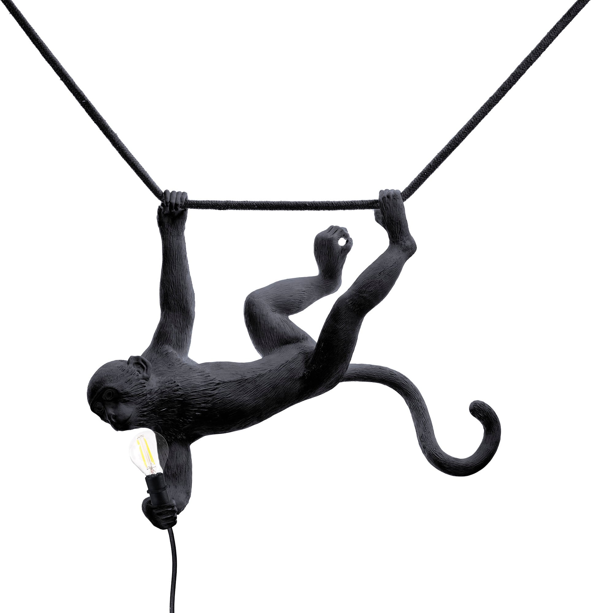Lampa Monkey zewnętrzna czarna wisząca