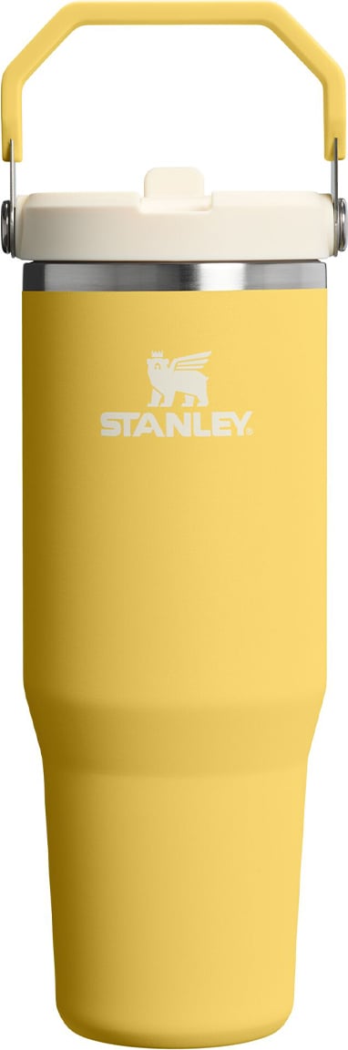 Kubek termiczny z uchwytem i słomką IceFlow 2.0 Daffodil 890 ml