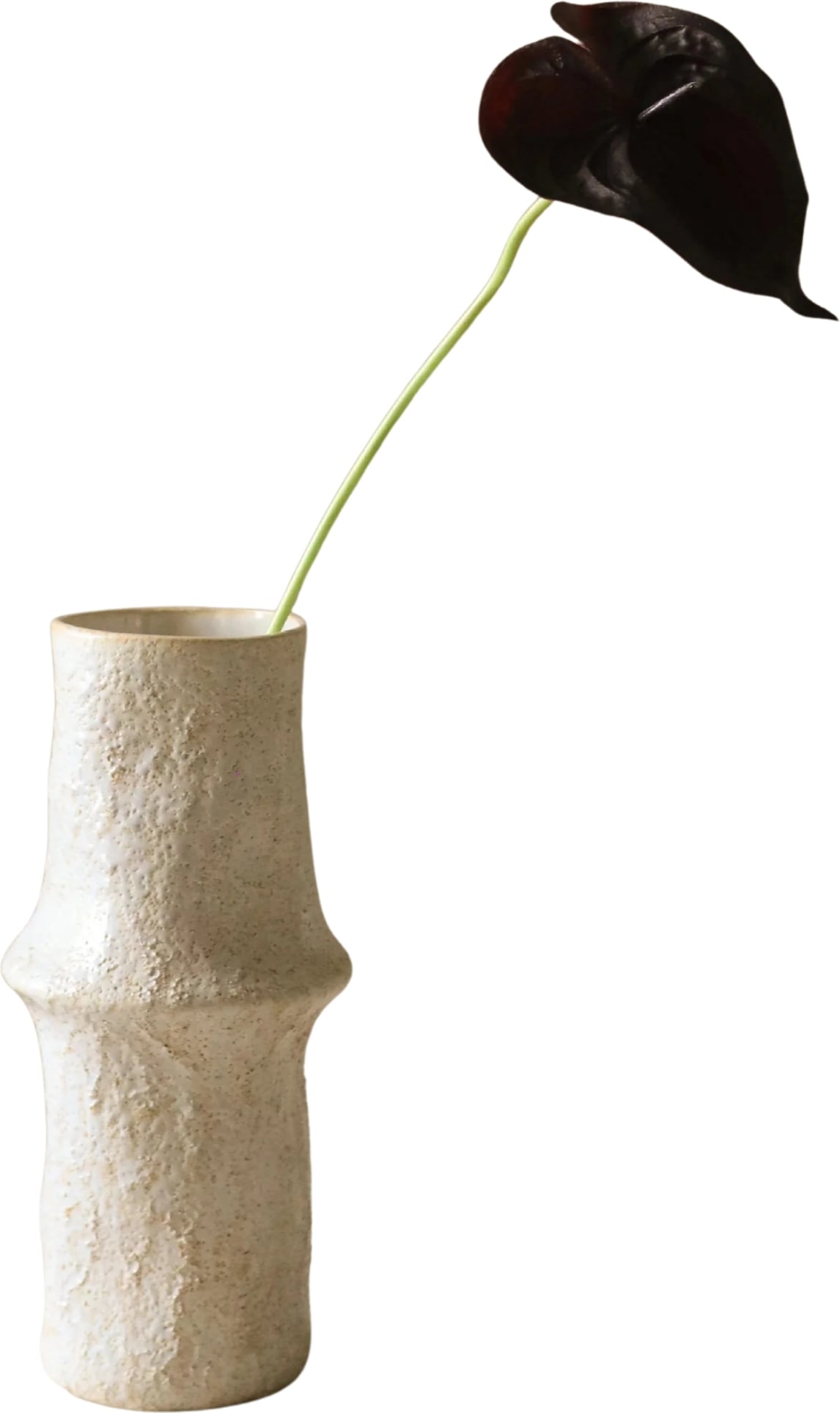 Kwiat sztuczny Botane anturium 65 cm czarne