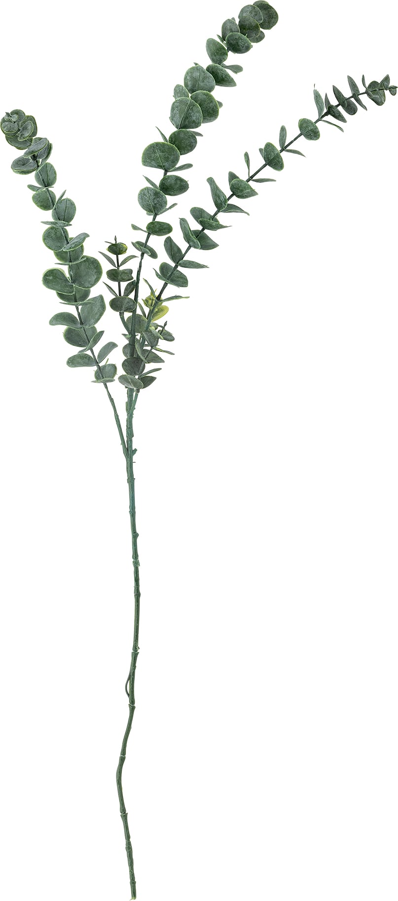Kwiat sztuczny Bloomingville eukaliptus 76 cm zielony