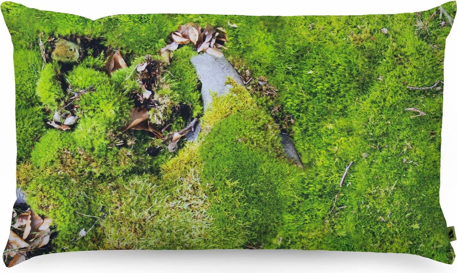 Poduszka z wypełnieniem z łusek gryki Foonka 50 x 30 cm mech