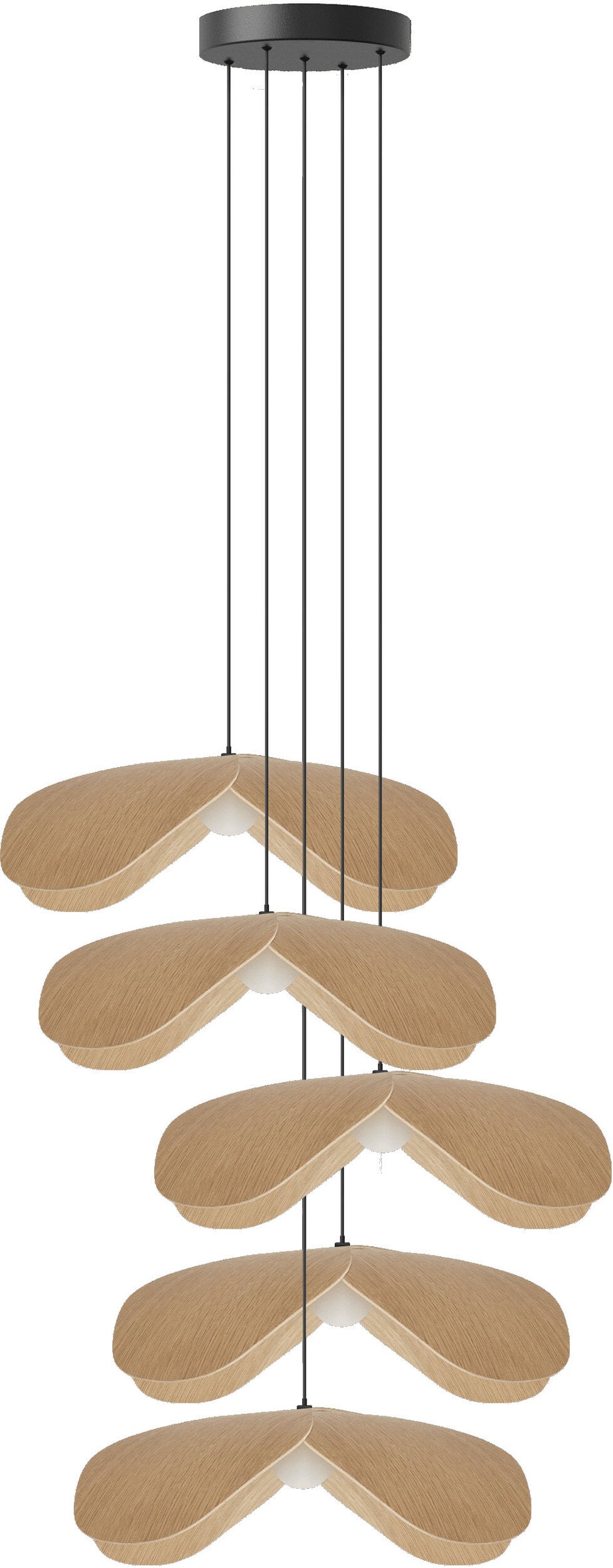 Lampa wisząca Forget Me Not 38 cm jasny dąb pięcioramienna z czarną rozetą