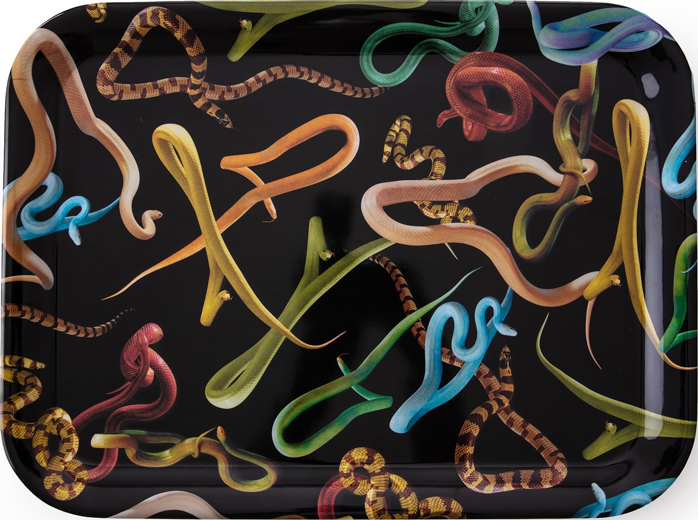 Taca Seletti Wears Toiletpaper Snakes