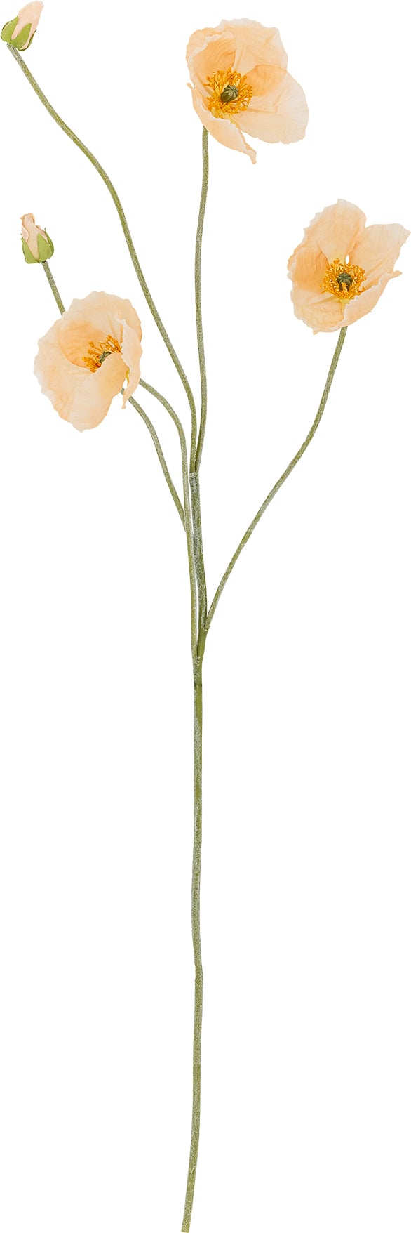 Kwiat sztuczny Bloomingville Poppy kremowy